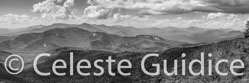 31 / 65 / 3830-10x30