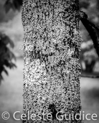 59 / 65 / DSC_4539