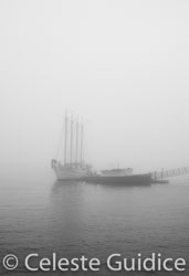 55 / 65 / DSC_4553