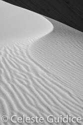 25 / 65 / DSC_8828