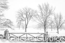 40 / 65 / _DSC9591-Edit
