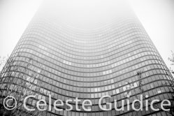 12 / 65 / chicago-8294